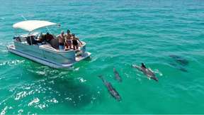 Siladen DOLPHIN TRIP SNORKELING - ONE DAY TOUR 