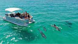 Siladen DOLPHIN TRIP SNORKELING - ONE DAY TOUR , Rp 1.350.000
