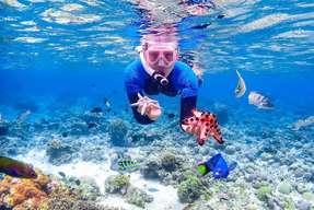 BUNAKEN TRIP SNORKELING - ONE DAY - KEBERANGKATAN MANADO - FREE ALAT SNORKELING DAN LUCH