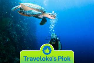 Tur Snorkeling di Bunaken, Rp 675.000
