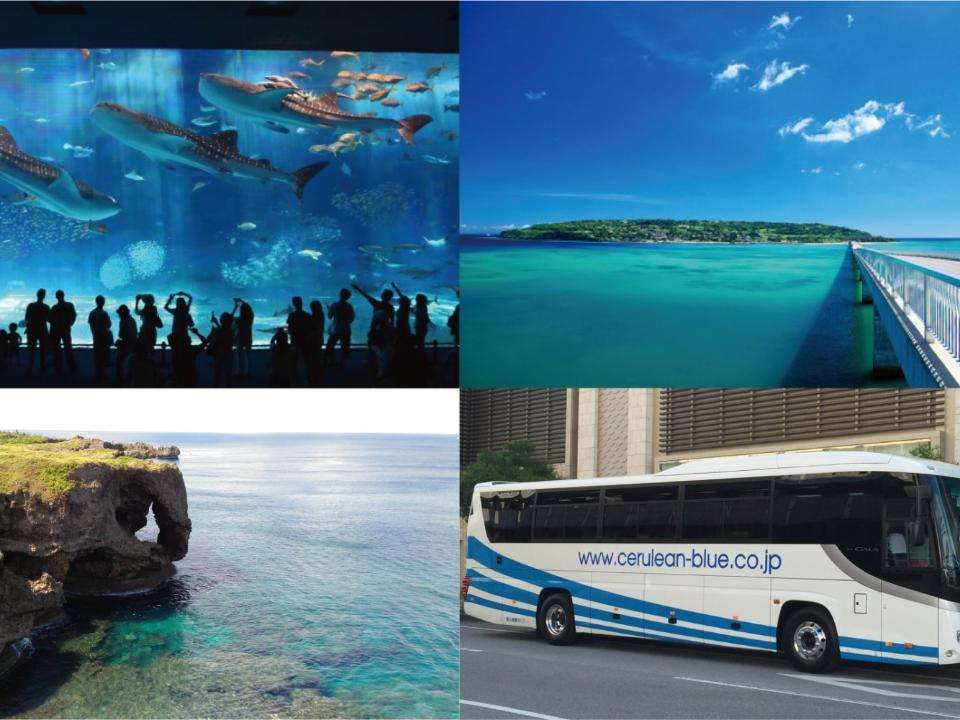 Tur Keliling Kota Okinawa dengan Bus 10 Jam Harga