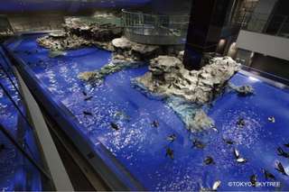 Tokyo Sumida Aquarium Tickets, RM 346