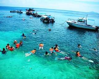 Snorkeling Trip at Redang Island - 1 Day Tour
