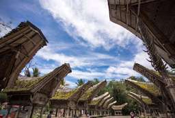 Explore North Toraja Tour - 13-Hour Tour, THB 1,654.91