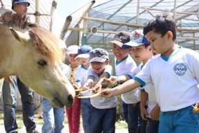 Vé công viên Jendela Alam Bandung