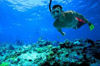 Khám phá 3 đảo Nha Trang - Tour 1 ngày