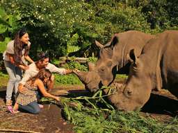 Bali Safari Park - International Tourists