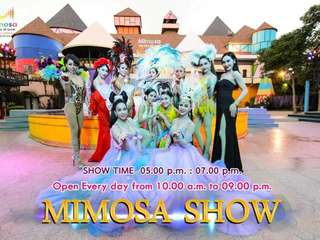 บัตรมิโมซ่า พัทยา (Mimosa Pattaya), THB 100