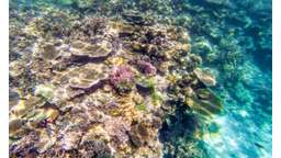 El Nido Tour A, B, and C - 3 Days, THB 2,021.50