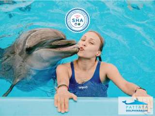 Pattaya Dolphinarium Tickets, SGD 28