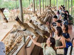 บัตรสวนสัตว์เปิดซาฟารีเวิลด์ (Safari World) กรุงเทพฯ