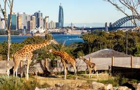 Taronga Zoo