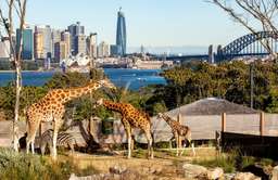 Taronga Zoo, USD 30.02