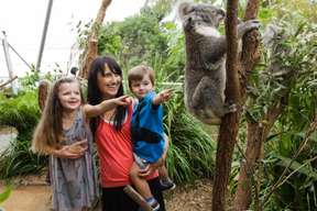 [QR Direct Entry] WILD LIFE Sydney Zoo Ticket