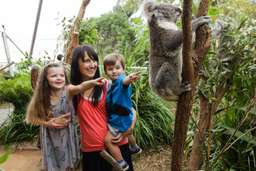 [QR Direct Entry] WILD LIFE Sydney Zoo Ticket, Rp 377.477