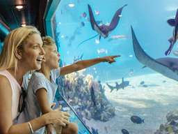 Sea World Gold Coast Tickets