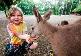 Wildlife Habitat Port Douglas Ticket in Cairns