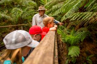 Otway Fly Treetops Walk Tickets, Rp 292.268