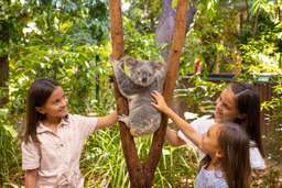 Currumbin Wildlife Sanctuary Ticket, Rp 742.920