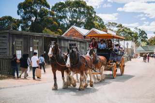 Sovereign Hill Ticket 