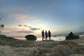 Alas Purwo National Park - 1-day Tour, Rp 715.000