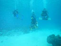 6H5M Wakatobi Dive Training Scuba Diver