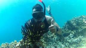 Snorkeling Trip Wangi Wangi Island  - 3D2N Tour
