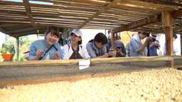 Batur Coffee Farm Tour - 1 Day Tour, THB 1,948.65