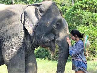 Elephant Care Program at Aonang Elephant Sanctuary