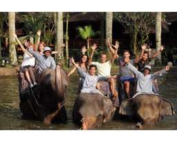 Mason Elephant Park Admission - Taro Bali, RM 34