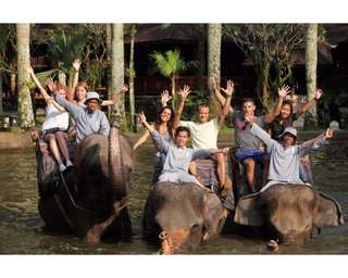 Mason Elephant Park Tickets - Taro Bali