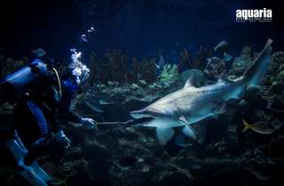 Aquaria KLCC Tickets, USD 9.50