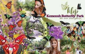 Kemenuh Butterfly Park - Entrance Ticket