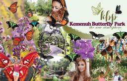 Kemenuh Butterfly Park - Entrance Ticket, Rp 50.000