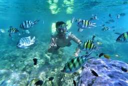 Pramuka Island Open Trip 2 days 1 night Start Muara Angke, Rp 430.000