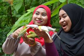 Tiket Langkawi Wildlife Park