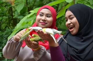 Langkawi Wildlife Park Tickets						, SGD 14