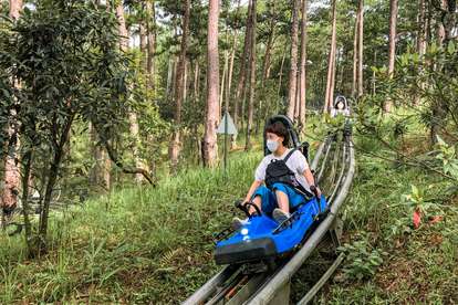 Xe trượt New Alpine Coaster Datanla tại Đà Lạt - Giá tốt nhất tại ...