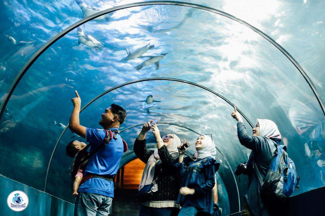 Buy Underwater World Langkawi Tickets May 2025 Starts from RM 47.00