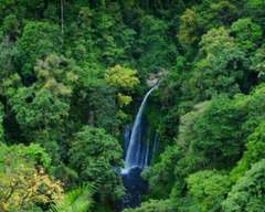 Wisata Air Terjun Sendang Gile dan Tiu Kelep - Tur 1 Hari