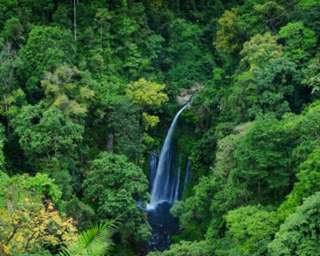 Sendang Gile Waterfall and Tiu Kelep Trip - 1-Day Tour, SGD 64