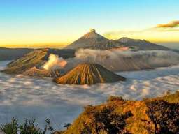 Bromo Private Day Tour with Madakaripura Waterfall - 1-day Tour