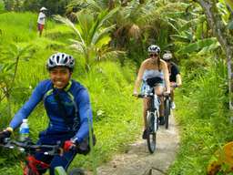 eBikes Bali Electric Bicycle Tours, THB 1,541.03