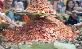 Roxas Seafood Fiesta 1-Day Tour 