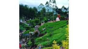 Wisata Taman Kelinci Tickets