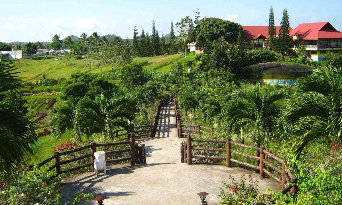 Bohol Countryside With Sagbayan Peak 1 Day Tour Tickets August 2024 8253