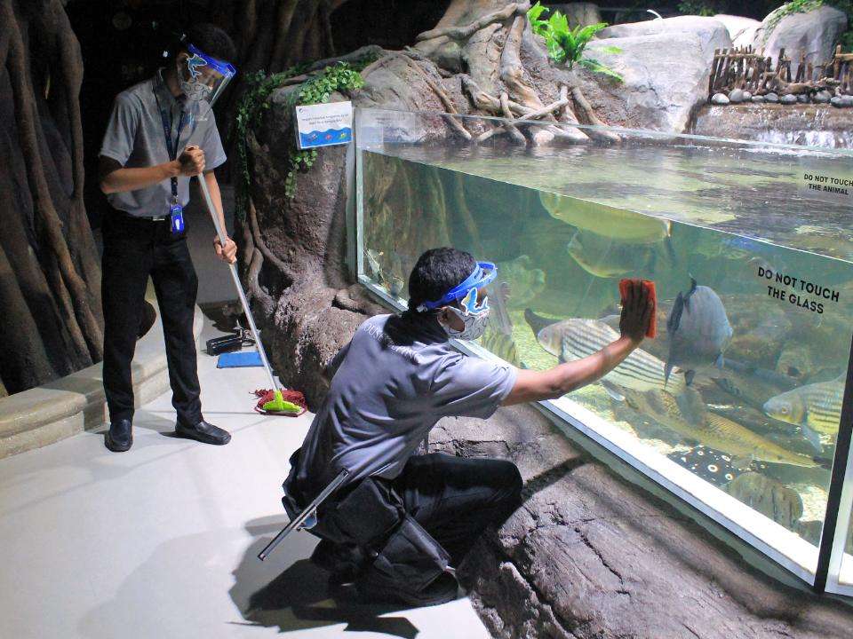 Jakarta Aquarium & Safari Tickets - Quick & Easy Booking with Traveloka