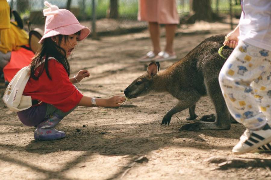 ZooDoo Đà Lạt