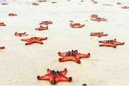 North Phu Quoc Excursion - Day Tour, SGD 34