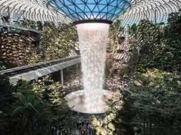 Jewel Changi Airport Attractions, ₱ 333.33
